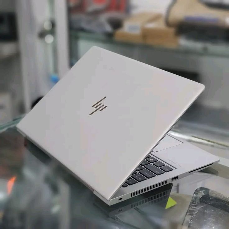 HP EliteBook AMD Ryzen 3 (8GB RAM, 256GB SSD)